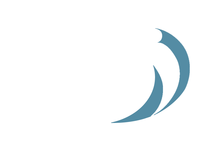 light logo